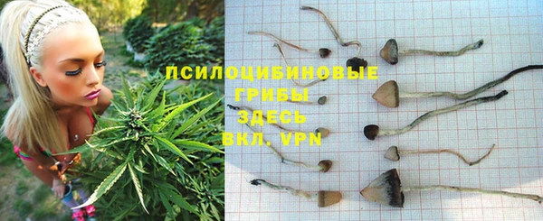 тгк Абдулино